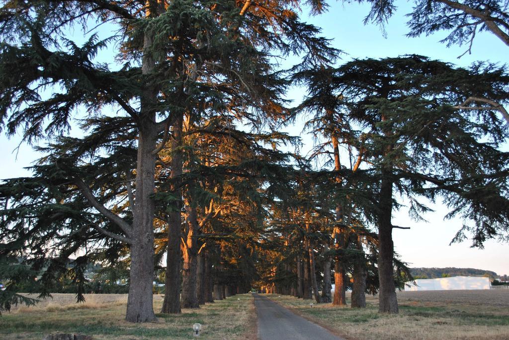 Hotel Logis Château Saint Marcel à Boé Extérieur photo